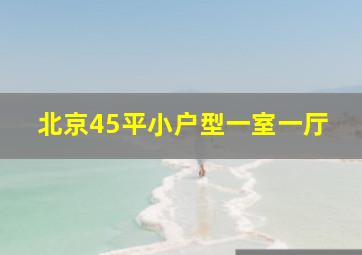 北京45平小户型一室一厅