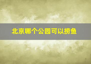 北京哪个公园可以捞鱼