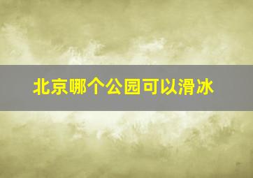 北京哪个公园可以滑冰