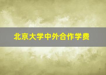 北京大学中外合作学费