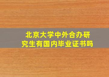 北京大学中外合办研究生有国内毕业证书吗