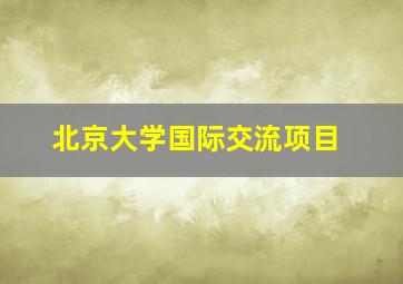 北京大学国际交流项目