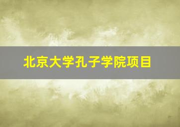 北京大学孔子学院项目