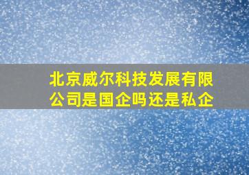 北京威尔科技发展有限公司是国企吗还是私企