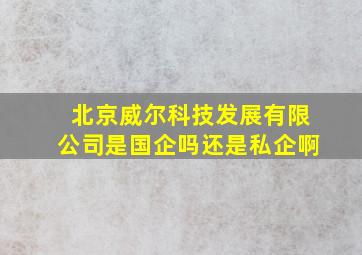 北京威尔科技发展有限公司是国企吗还是私企啊