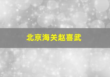 北京海关赵喜武