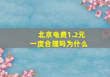 北京电费1.2元一度合理吗为什么