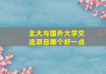 北大与国外大学交流项目哪个好一点