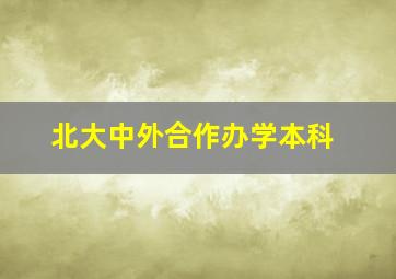 北大中外合作办学本科