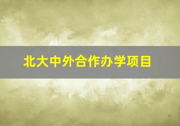 北大中外合作办学项目