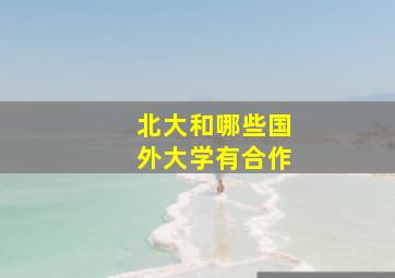 北大和哪些国外大学有合作