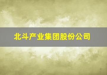 北斗产业集团股份公司