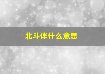 北斗伴什么意思