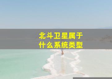 北斗卫星属于什么系统类型