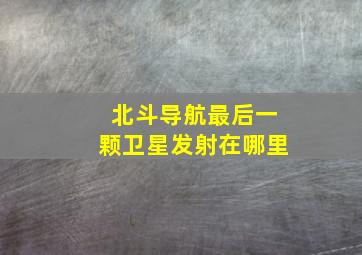 北斗导航最后一颗卫星发射在哪里