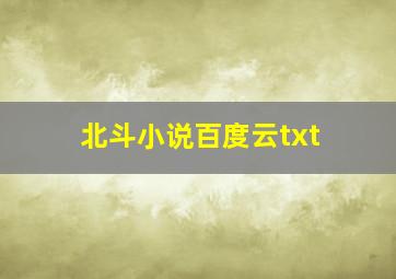 北斗小说百度云txt