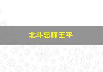 北斗总师王平