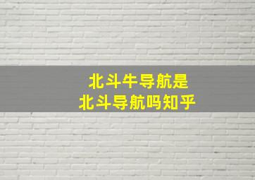 北斗牛导航是北斗导航吗知乎