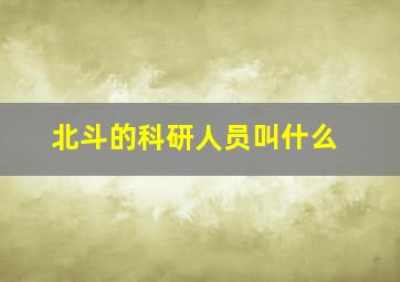 北斗的科研人员叫什么