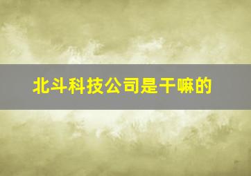 北斗科技公司是干嘛的