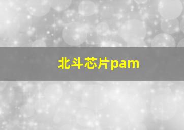 北斗芯片pam