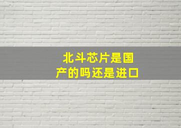 北斗芯片是国产的吗还是进口