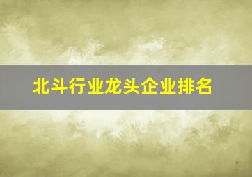 北斗行业龙头企业排名