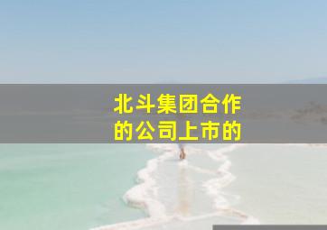 北斗集团合作的公司上市的