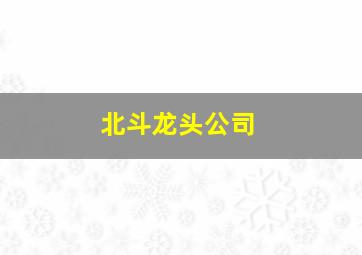 北斗龙头公司