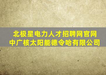 北极星电力人才招聘网官网中广核太阳能德令哈有限公司