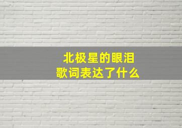 北极星的眼泪歌词表达了什么