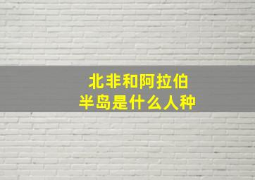 北非和阿拉伯半岛是什么人种