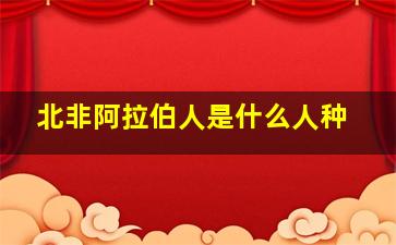 北非阿拉伯人是什么人种