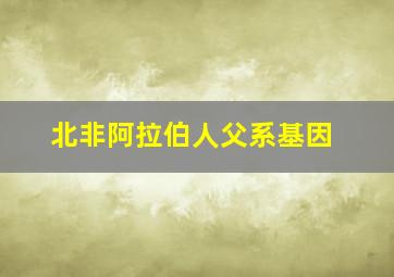 北非阿拉伯人父系基因