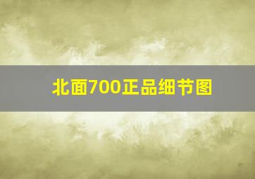 北面700正品细节图