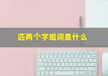 匹两个字组词是什么