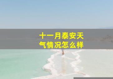 十一月泰安天气情况怎么样