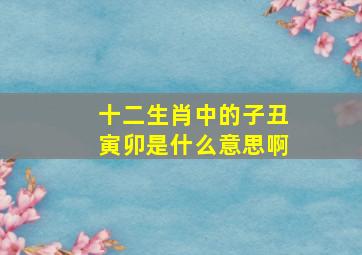 十二生肖中的子丑寅卯是什么意思啊