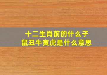 十二生肖前的什么子鼠丑牛寅虎是什么意思