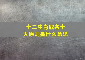 十二生肖取名十大原则是什么意思