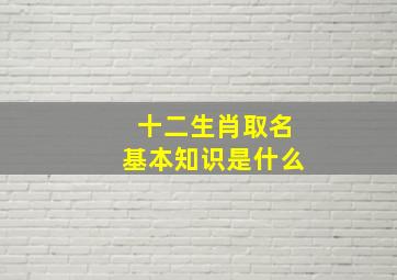 十二生肖取名基本知识是什么