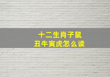 十二生肖子鼠丑牛寅虎怎么读