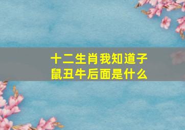 十二生肖我知道子鼠丑牛后面是什么