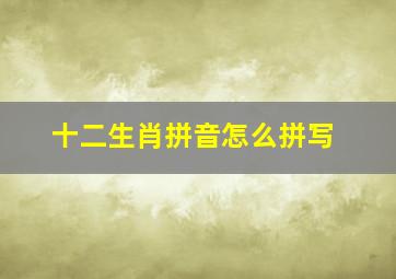 十二生肖拼音怎么拼写