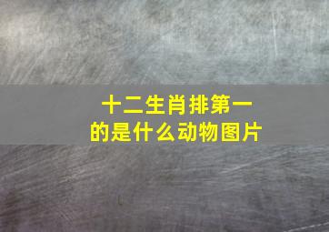 十二生肖排第一的是什么动物图片