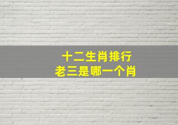 十二生肖排行老三是哪一个肖