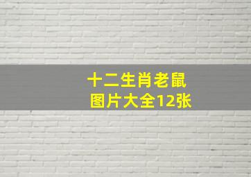 十二生肖老鼠图片大全12张