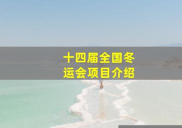 十四届全国冬运会项目介绍