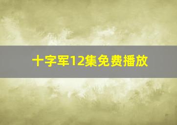 十字军12集免费播放