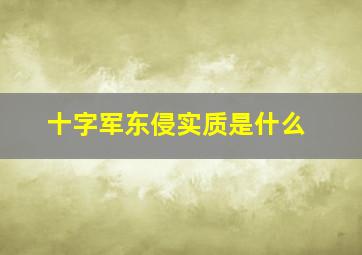 十字军东侵实质是什么